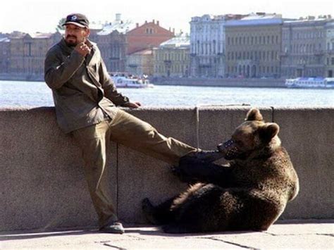 Гифки приколы (25 GIF's)