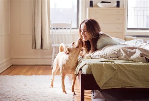 Lợi ích của cách nhiệt và điều hòa không khí | hitachiaircon.com