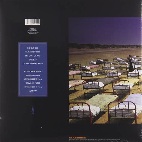 Виниловая пластинка PINK FLOYD - A MOMENTARY LAPSE OF REASON (180 GR ...