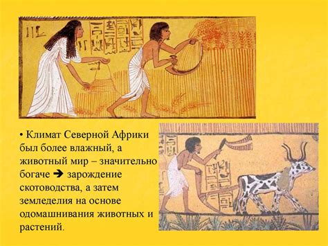 Эволюция хозяйственной системы Древнего Египта - презентация онлайн