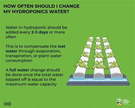 how often to change hydroponic water
