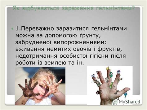 Презентация на тему: "Паразитичні черви - гельмінти ". Скачать ...
