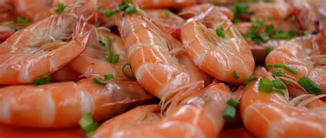 Frutos Do Mar Em Ingles - Frutos Do Mar Em Ingles - FDPLEARN
