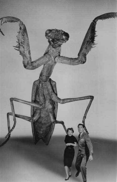 The Deadly Mantis - Alchetron, The Free Social Encyclopedia