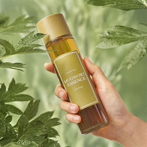 Mugwort Essence - I'M FROM | Wishtrend