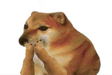 pin  mary   cross  memes  responder doge dog cute memes