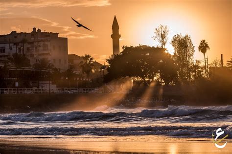 Saida - saida , south lebanon | South lebanon, Photo, Photography