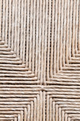 tecture pictures   images  unsplash