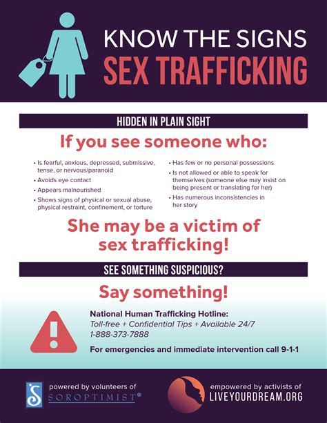 Experts Expose The Myths Surrounding Chicago's Sex Guide Image 4