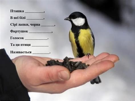 М. Пришвін «Гаїчки» . Виготовлення пташки з ниток. (інтегрований урок)