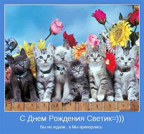 С Днем Рождения Светик=))) | Позитивные мотиваторы