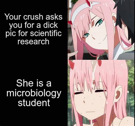 Zero Two meme for Zero Twosday : r/Animemes