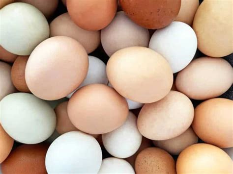 varieties  eggs   eatfor  protein punch