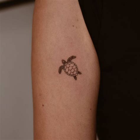 Fine line style turtle tattoo done on the tricep.