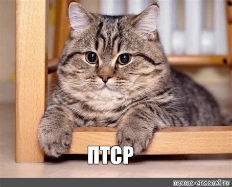 Мем: "ПТСР" - Все шаблоны - Meme-arsenal.com