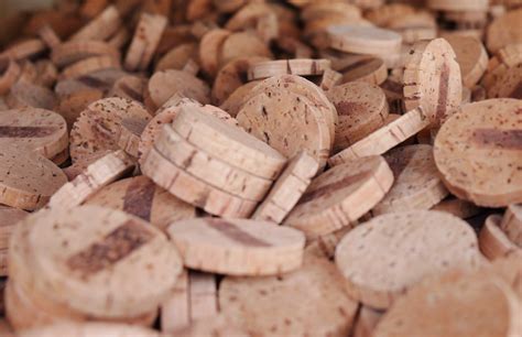 Is cork material environmentally friendly? Reasons why you should use