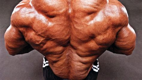 hardcore  workout build  thickness thegymlifestylecom