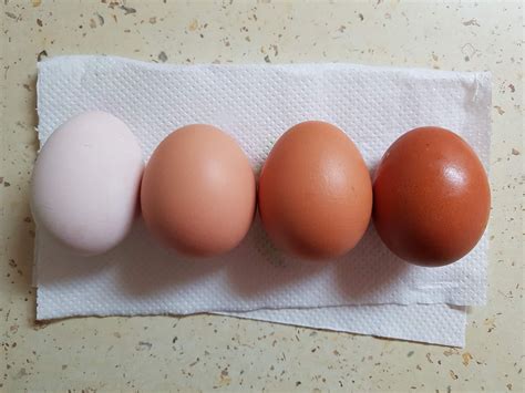виЕЛИца от вкусове: Лесно: Избелване на яйца за Великден