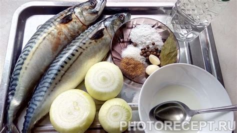 Соленая скумбрия в домашних условиях - рецепт приготовления