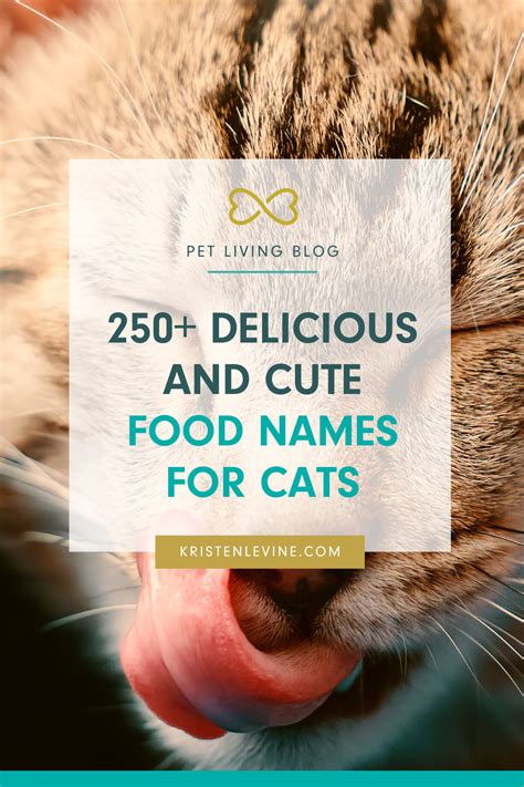 Japanese Food Pet Names For Cats at Dorothy Dorsey blog