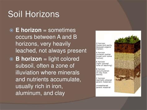 soils  minerals powerpoint    id