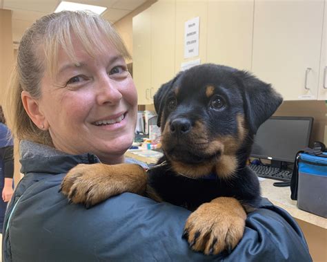 Crestview Animal Hospital – Cumming, GA
