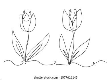 Continuous Line Drawing Flowers Vector Illustration Stock Vector ...