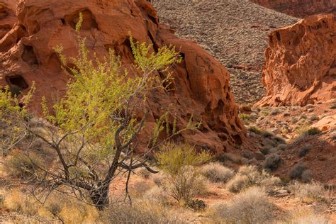Sidelit | Carl Johnson Photography
