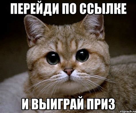 перейди по ссылке и выиграй приз, Мем Пидрила Ебаная - Рисовач .Ру