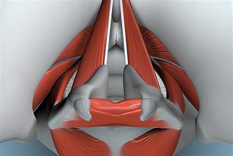 Vocal Cord Cancer | UCI Head and Neck Surgery - UCI ENT Doctors - Otolaryngologists