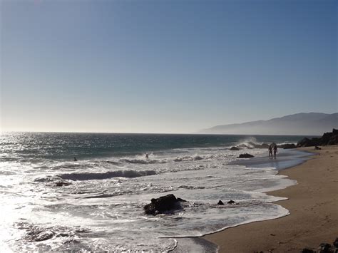 Does Malibu Beach Allow Dogs