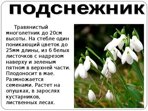 Красная книга Краснодарского края