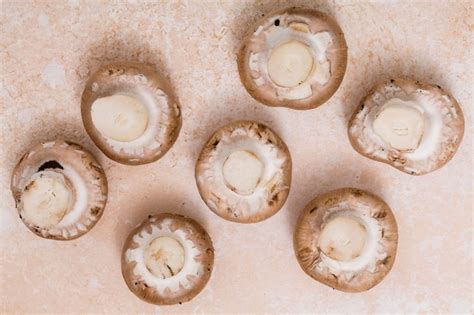 Komorka Grzybowa Zdjęcia - darmowe pobieranie na Freepik