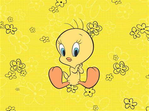 Download Tweety Bird Wallpaper | Wallpapers.com