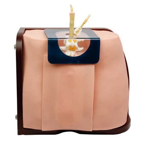 Simulador de Punción Lumbar L68A - Suizmed