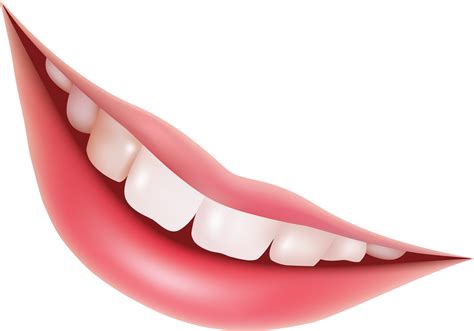 Teeth PNG image