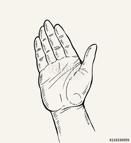 Hand Palm Sketch at PaintingValley.com | Explore collection of Hand ...