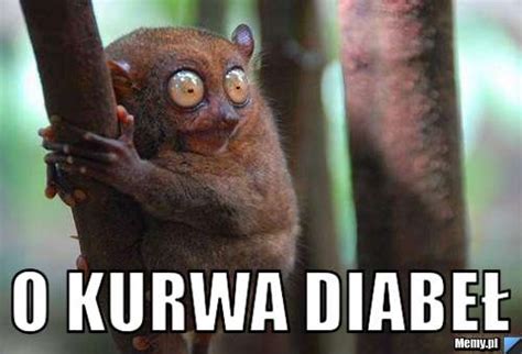 o kurwa diabeł - Memy.pl
