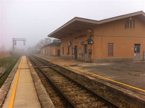 Treni Dautore