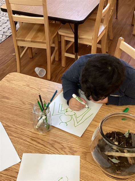 Worm Habitats - St. Mary's Early Childhood Center