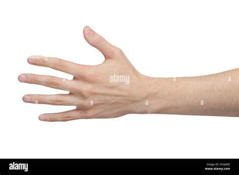 male hand isolated stock photo alamy