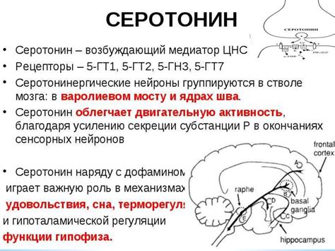 Виды медиатров в ЦНС - презентация онлайн