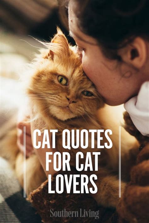 Cute Cat Cat Lover Quotes Funny - Cat Mania