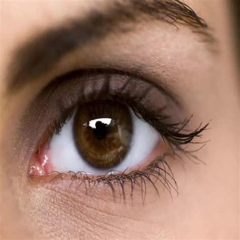 Pupils Dilated When High