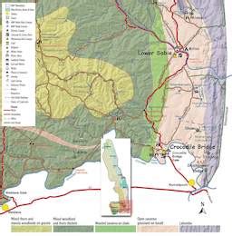 Kruger Park Birding By Region - The South East