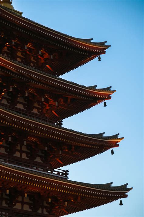 Japanese+Big+Boob+Bikini Photos, Download The BEST Free Japanese+Big