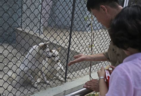 North Korea's central zoo reopens with dogs as the star attraction ...