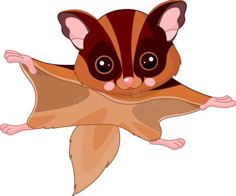 cute flying squirrel cartoon discover flying squirrels  kids