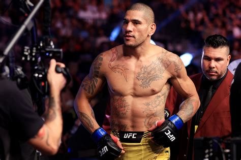 wife  alex pereira  parents family salary yebscorecom