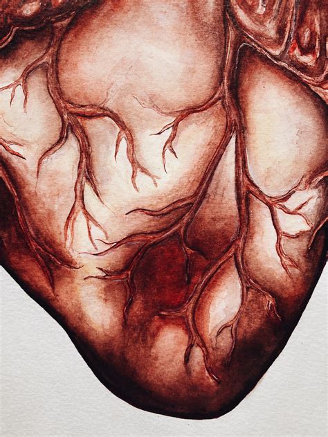 Human Heart Anatomy Painting: Anatomical Original Artwork Red | Etsy